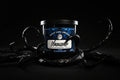 Venomized - 9.5oz Candle